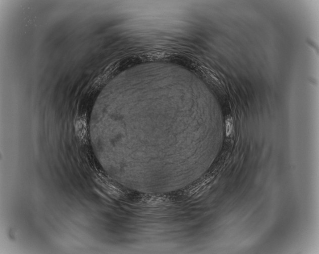 X0000096681011200803041236