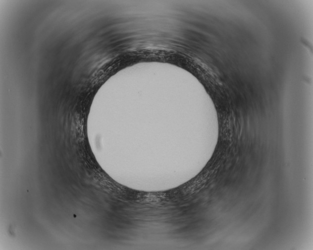 X0000096681013200803041236
