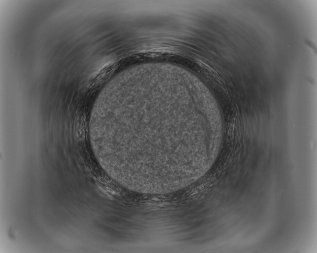 X0000096681014200803041236