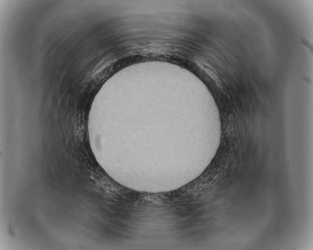 X0000096681015200803041236