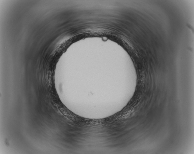 X0000096681016200803041236