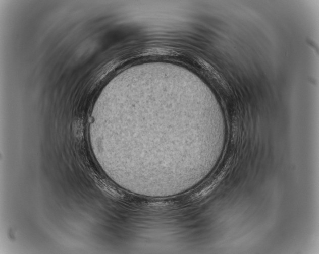 X0000096681017200803041236