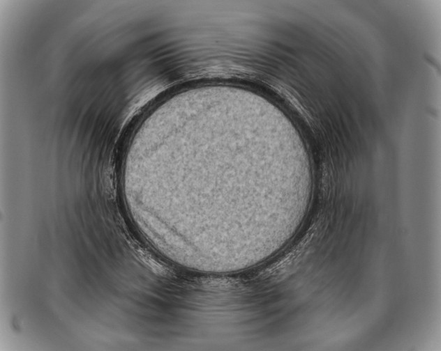 X0000096681018200803041236