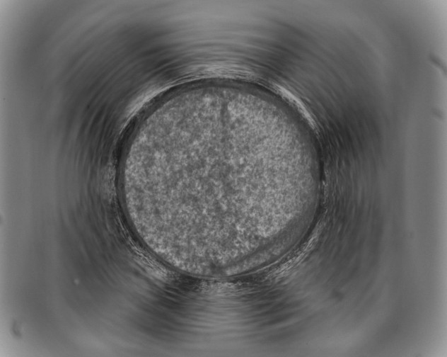 X0000096681019200803041236