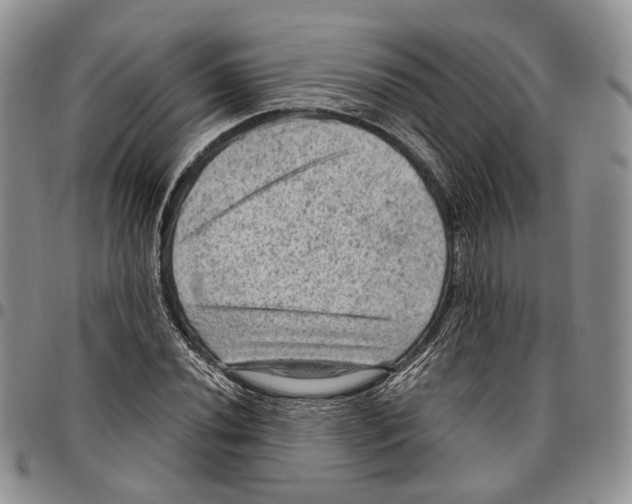 X0000096681020200803041236