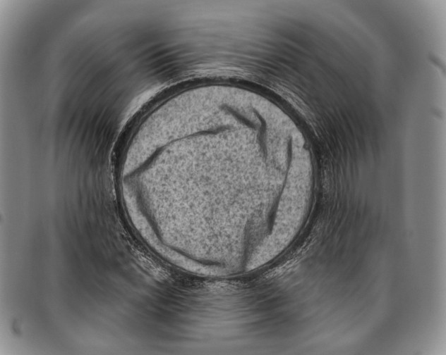 X0000096681022200803041236