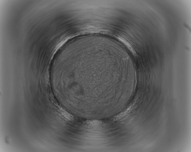 X0000096681023200803041236