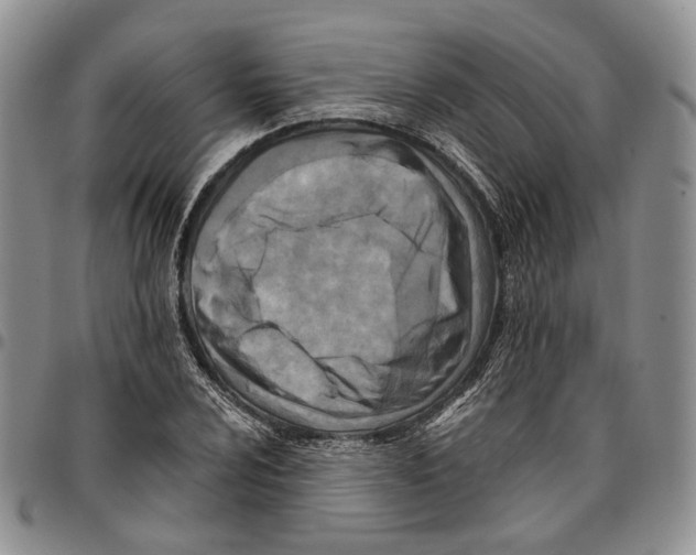 X0000096681024200803041236