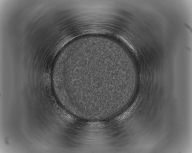 X0000096681025200803041236