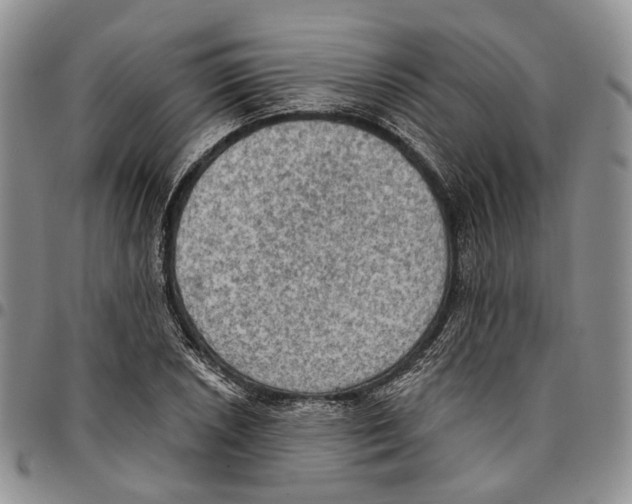 X0000096681026200803041236