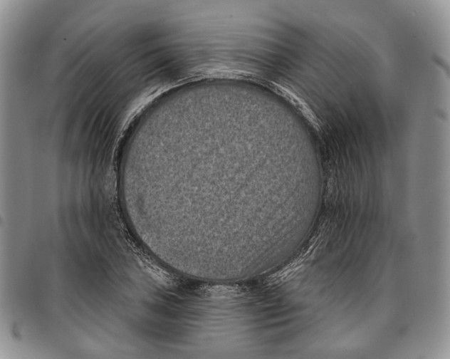 X0000096681027200803041236