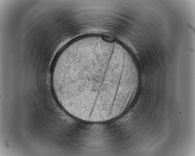 X0000096681029200803041236
