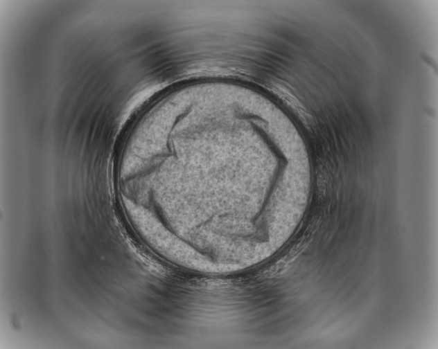 X0000096681030200803041236