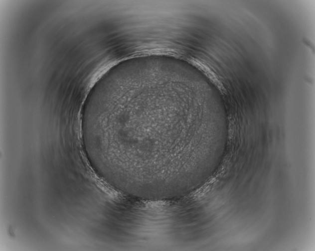X0000096681031200803041236