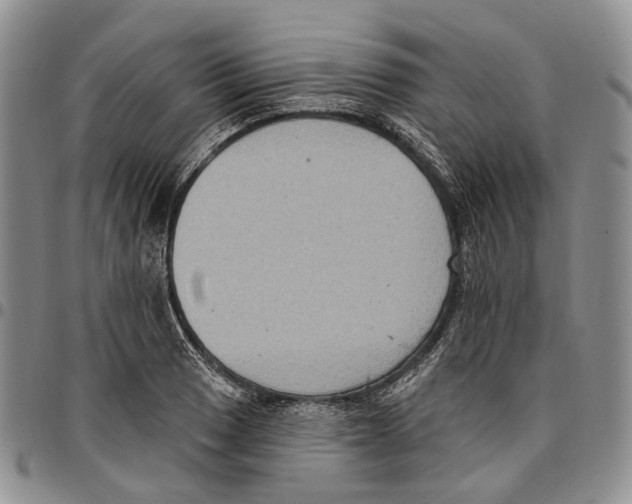 X0000096681033200803041236