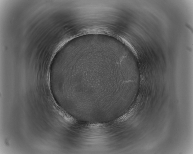 X0000096681035200803041236