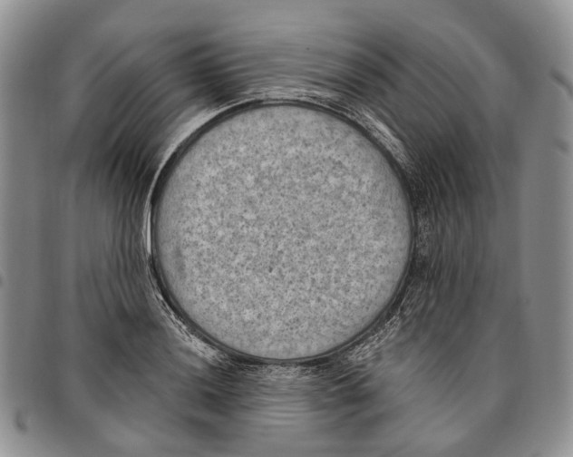 X0000096681036200803041236