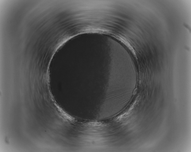 X0000096681037200803041236