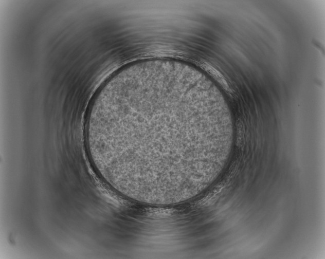 X0000096681039200803041236