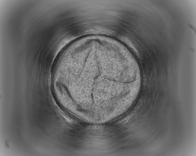 X0000096681040200803041236