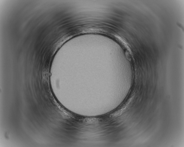 X0000096681041200803041236