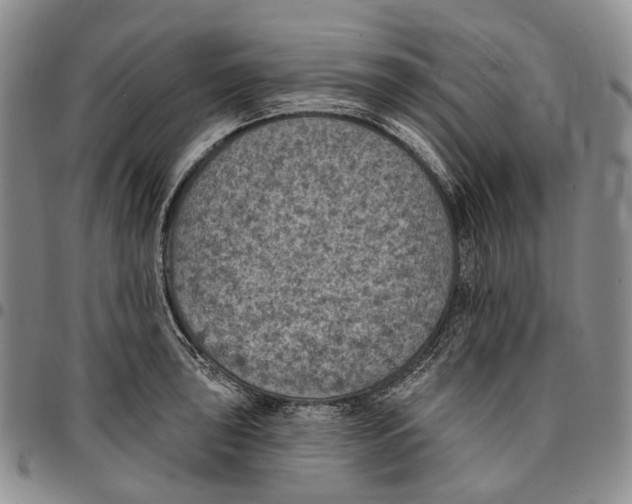 X0000096681043200803041236
