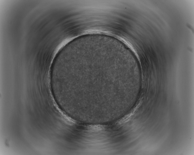 X0000096681045200803041236