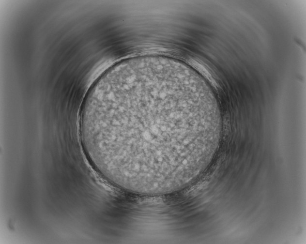 X0000096681047200803041236