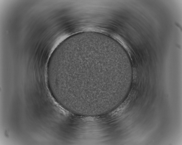 X0000096681048200803041236