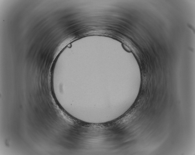 X0000096681050200803041236