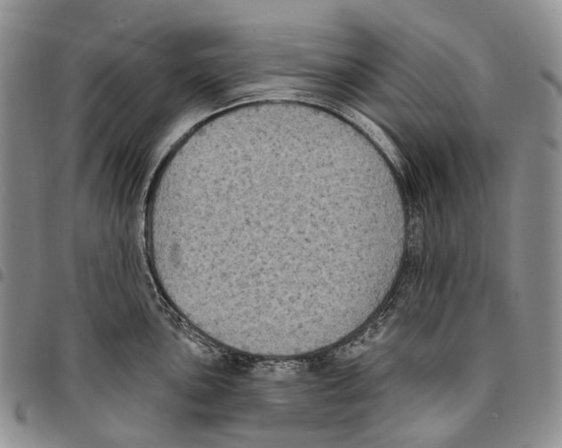 X0000096681051200803041236