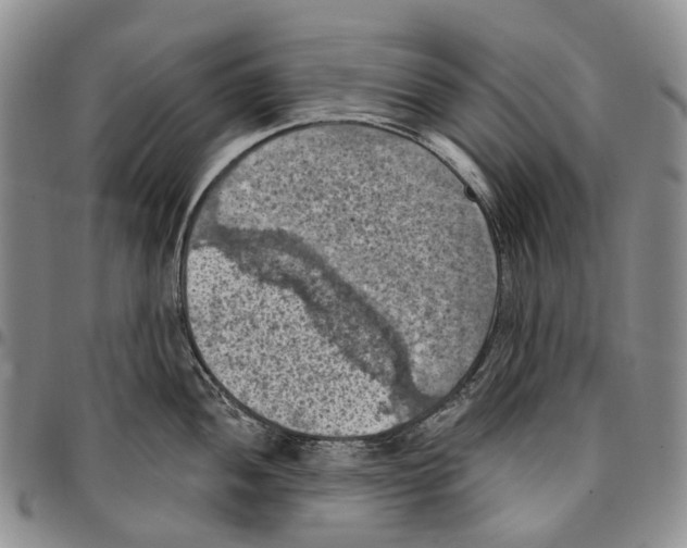 X0000096681052200803041236
