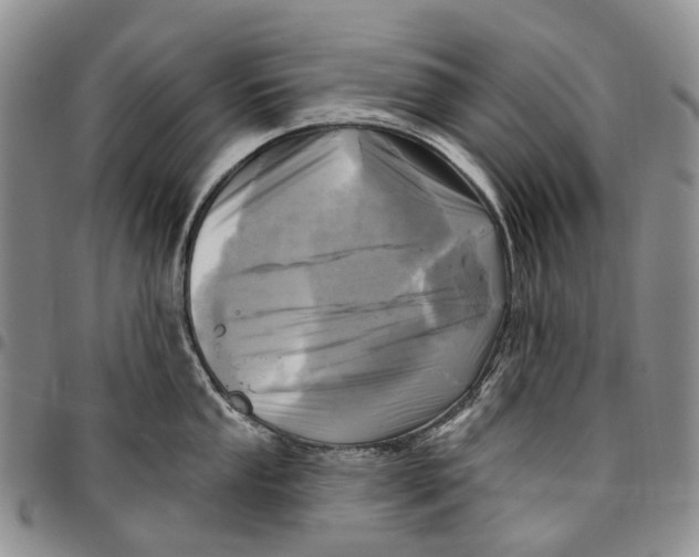 X0000096681053200803041236