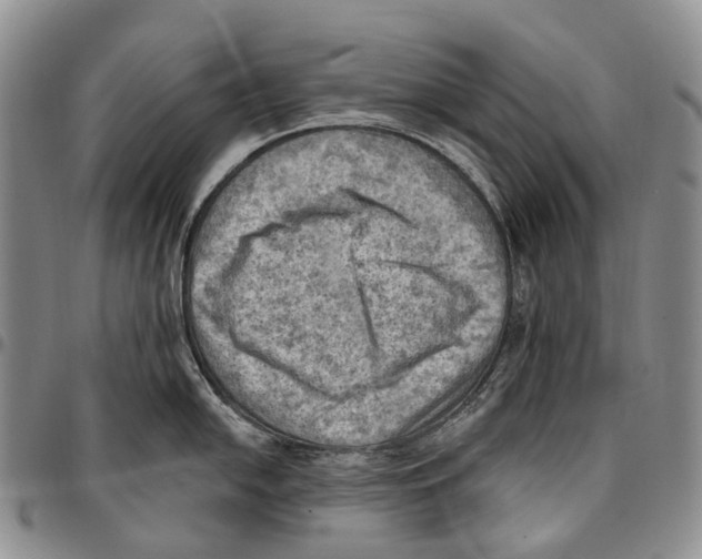 X0000096681054200803041236