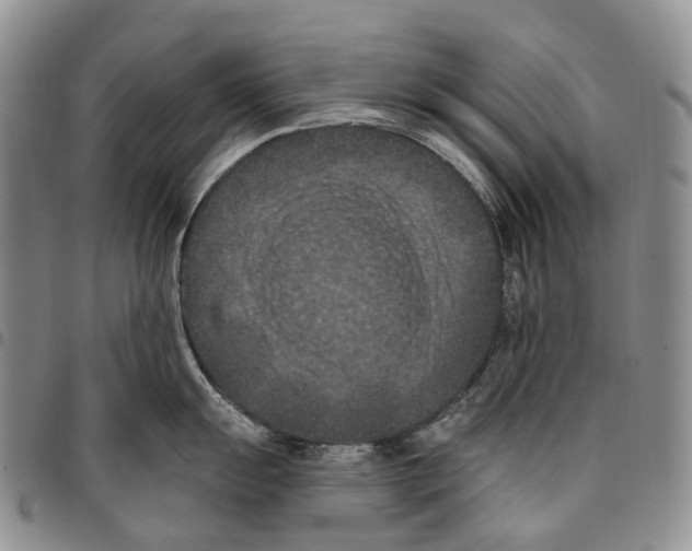 X0000096681055200803041236