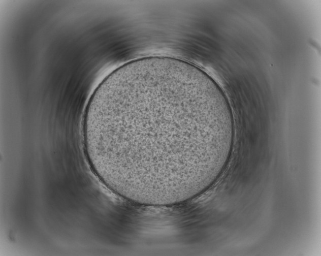 X0000096681056200803041236