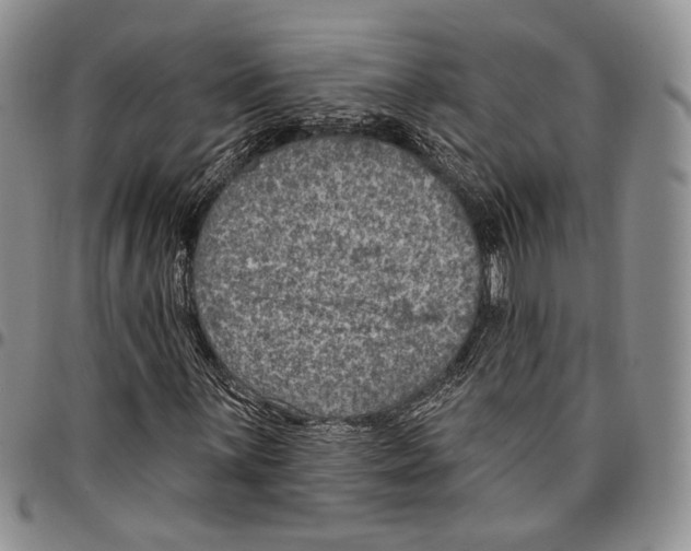 X0000096681059200803041236