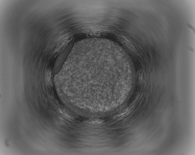 X0000096681060200803041236