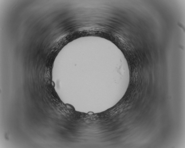 X0000096681062200803041236