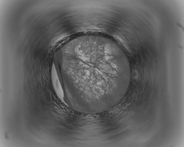 X0000096681063200803041236