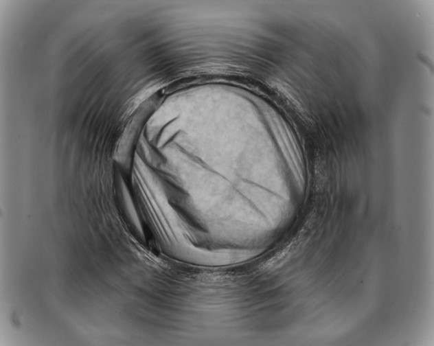 X0000096681065200803041236