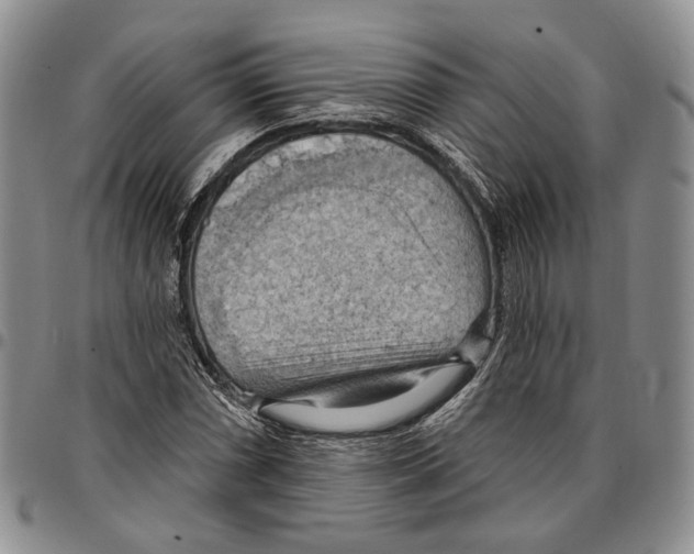 X0000096681066200803041236