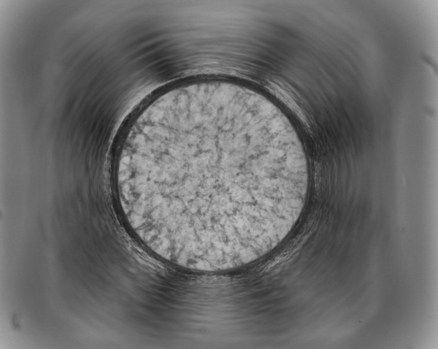 X0000096681068200803041236