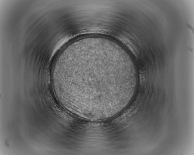 X0000096681069200803041236