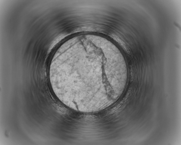 X0000096681070200803041236