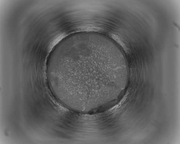 X0000096681071200803041236