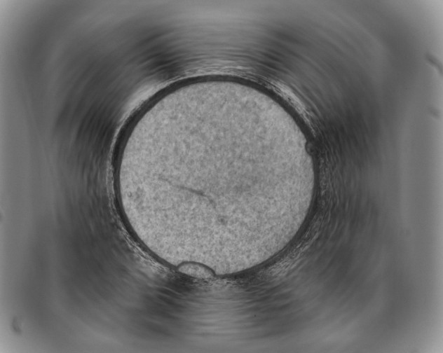 X0000096681072200803041236