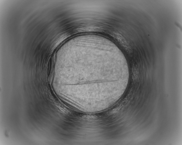 X0000096681073200803041236