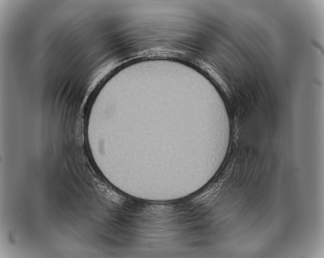 X0000096681075200803041235