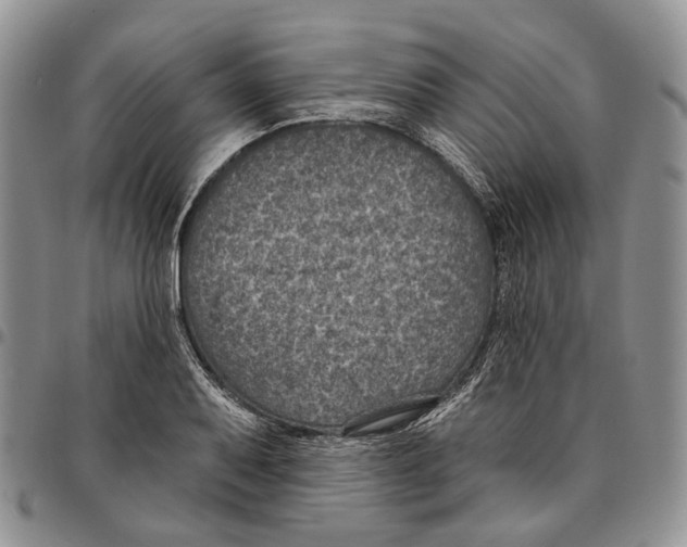 X0000096681079200803041235